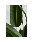 Kare - Deco Plant Paradise Flowers 190cm