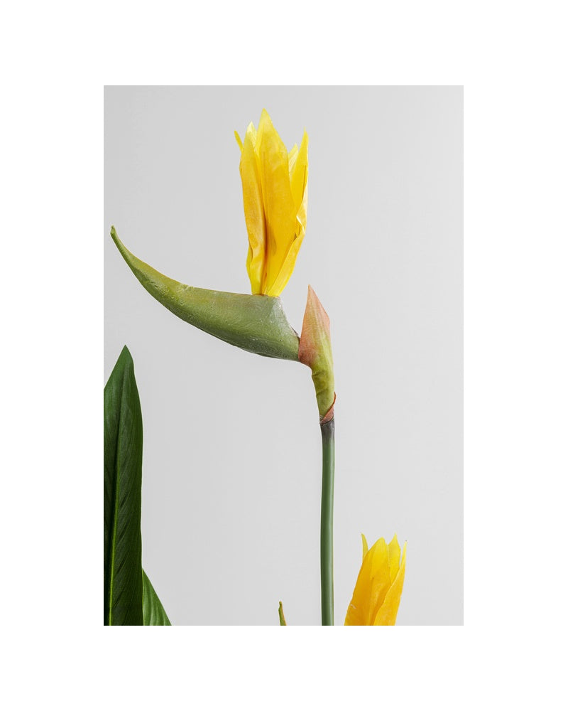 Kare - Deco Plant Paradise Flowers 190cm