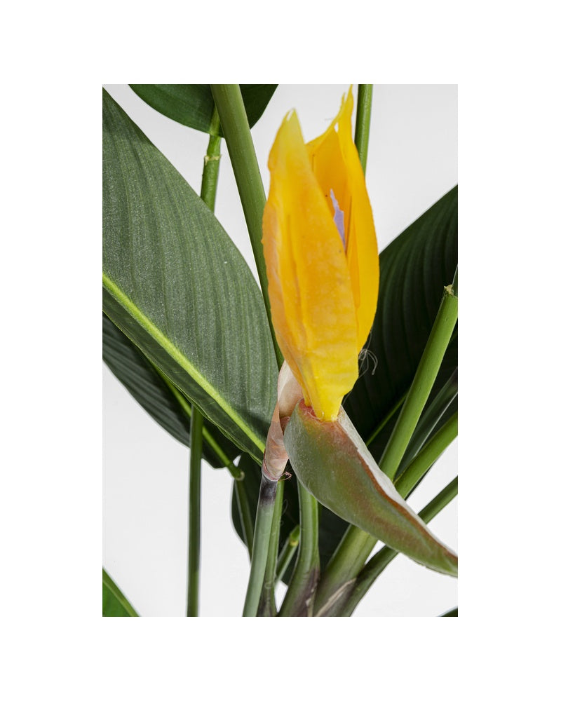 Kare - Deco Plant Paradise Flowers 190cm