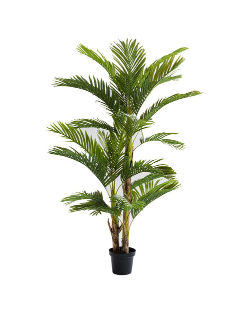 Kare - Deco Plant Palm Tree 190cm