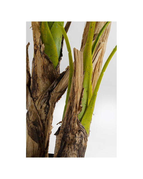 Kare - Deco Plant Palm Tree 190cm