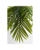 Kare - Deco Plant Palm Tree 190cm