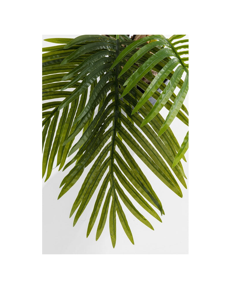Kare - Deco Plant Palm Tree 190cm