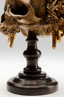 Kare - Deco Object King Skull 42cm