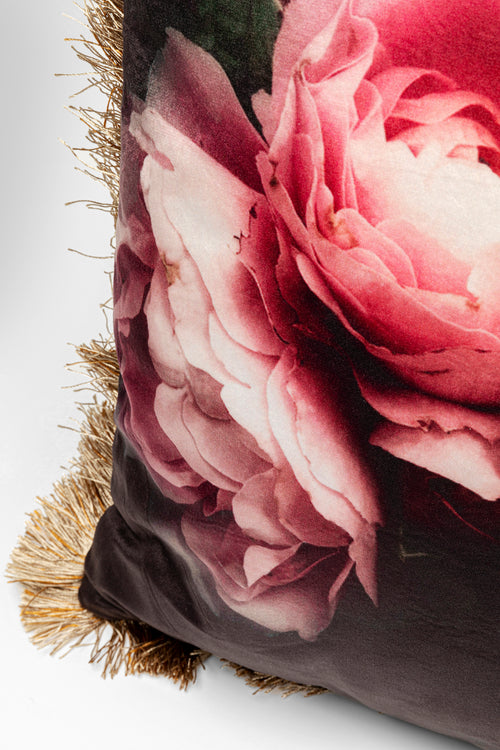 Kare - Cushion Blush Roses 45x45cm