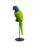 Kare - Deco Figurine Parrot Green 36cm
