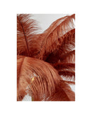 Kare - Floor Lamp Feather Palm Rusty Red 165cm
