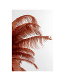Kare - Floor Lamp Feather Palm Rusty Red 165cm