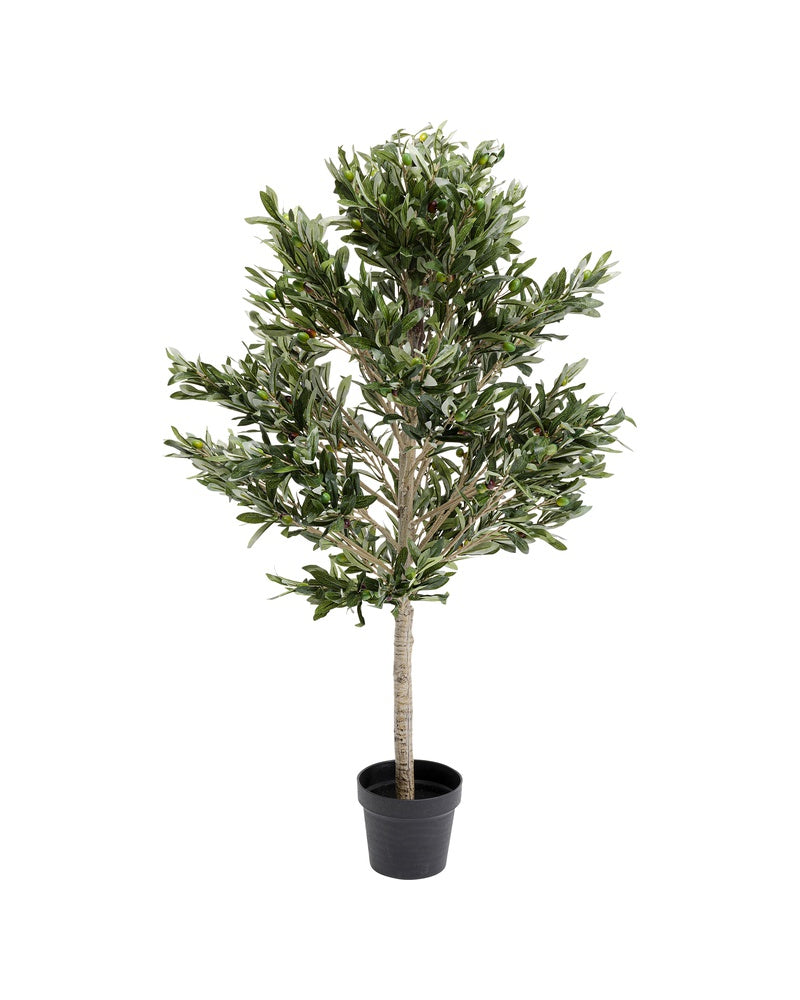 Kare - Deco Plant Olive Tree 120cm