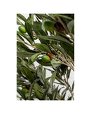 Kare - Deco Plant Olive Tree 120cm
