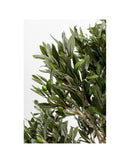 Kare - Deco Plant Olive Tree 120cm