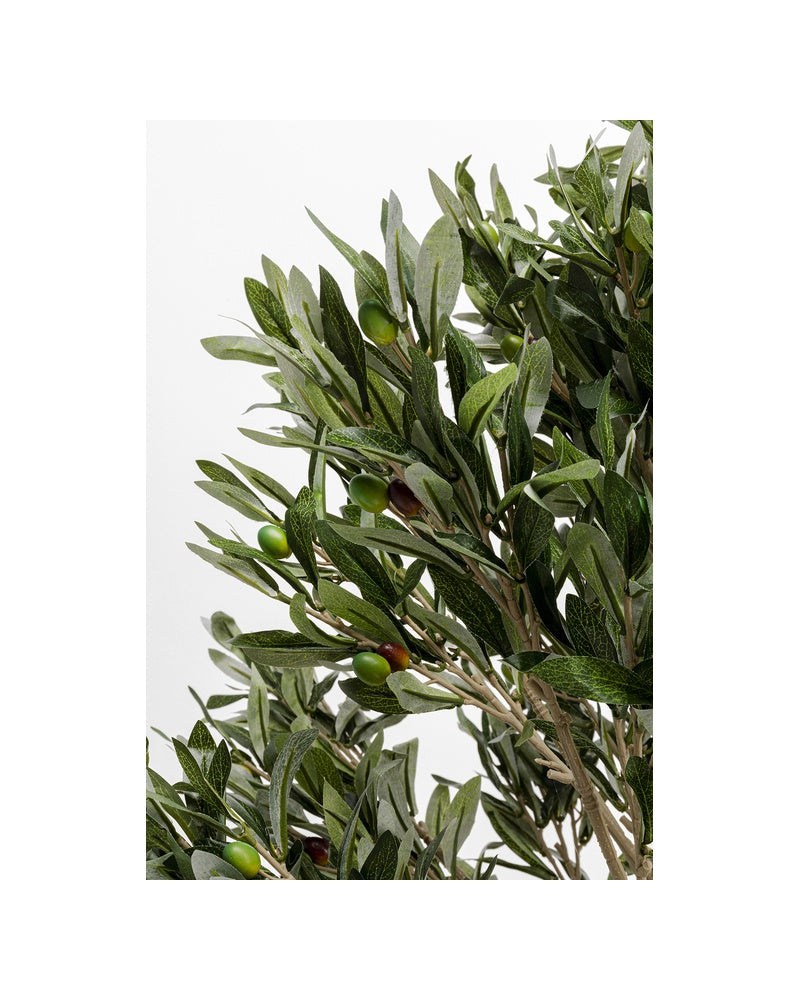Kare - Deco Plant Olive Tree 120cm