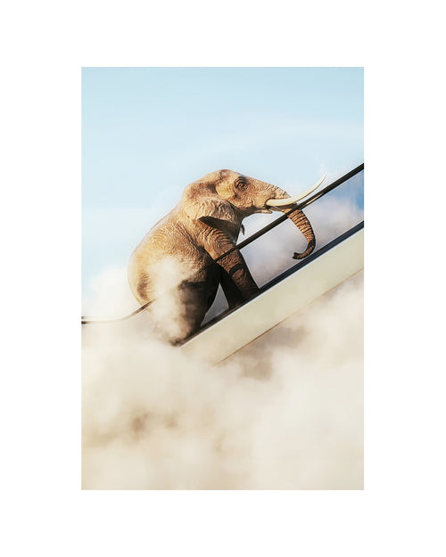 Kare - Framed Picture Elephant In The Sky 150x100cm