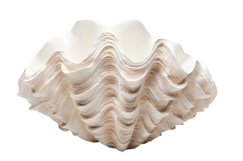 Kare - Deco Vase Concha 29cm