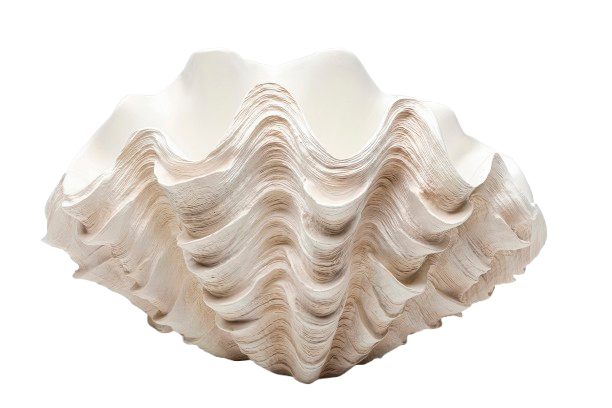 Kare - Deco Vase Concha 29cm
