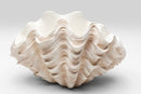 Kare - Deco Vase Concha 29cm