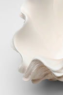 Kare - Deco Vase Concha 29cm