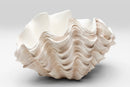 Kare - Deco Vase Concha 29cm