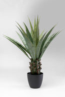 Kare - Deco Plant Agave 85cm