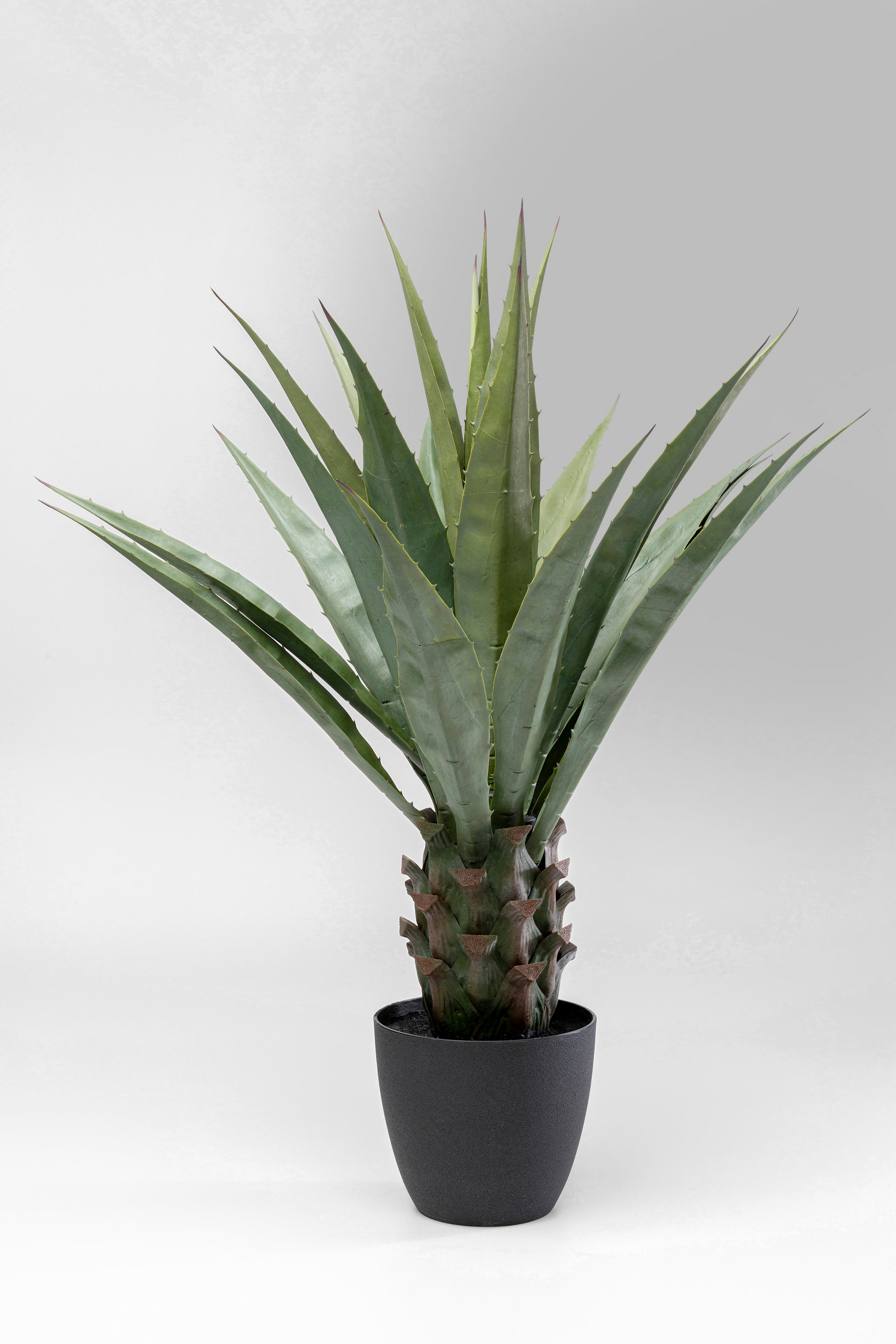 Kare - Deco Plant Agave 85cm