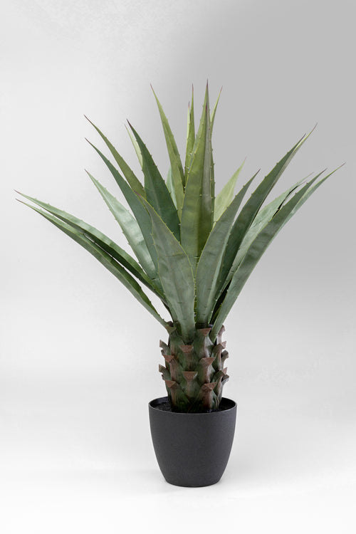 Kare - Deco Plant Agave 85cm