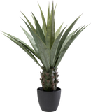 Kare - Deco Plant Agave 85cm