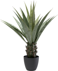 Kare - Deco Plant Agave 85cm