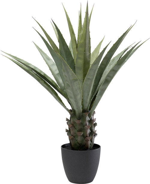 Kare - Deco Plant Agave 85cm