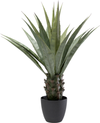 Kare - Deco Plant Agave 85cm