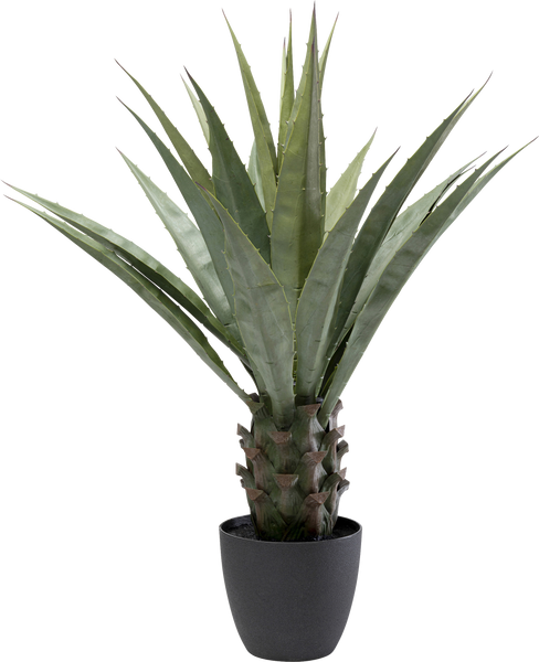 Kare - Deco Plant Agave 85cm
