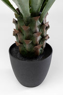 Kare - Deco Plant Agave 85cm