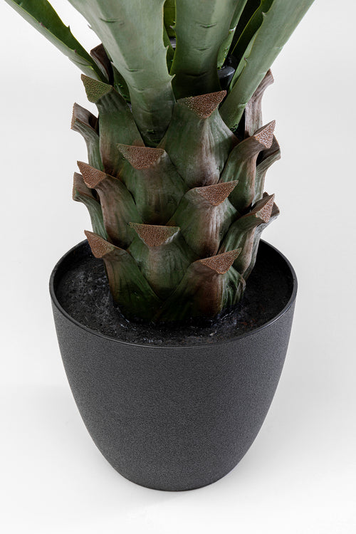 Kare - Deco Plant Agave 85cm