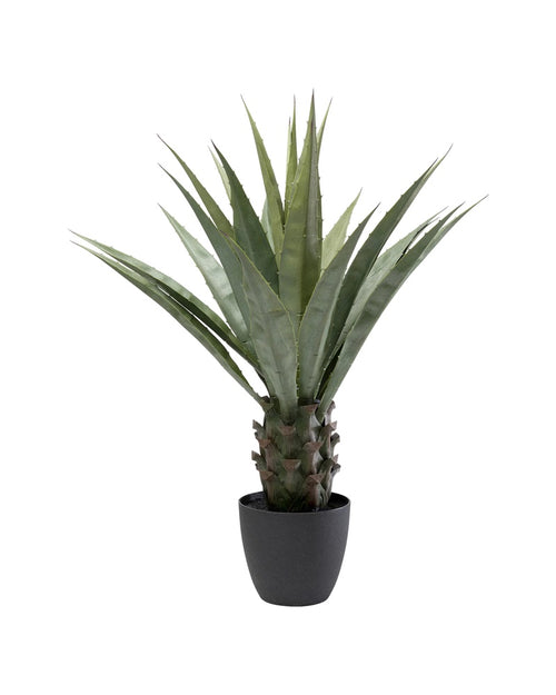 Kare - Deco Plant Agave 85cm