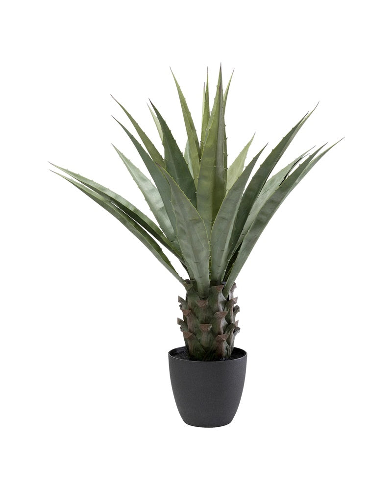 Kare - Deco Plant Agave 85cm