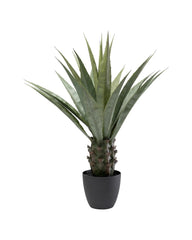 Kare - Deco Plant Agave 85cm