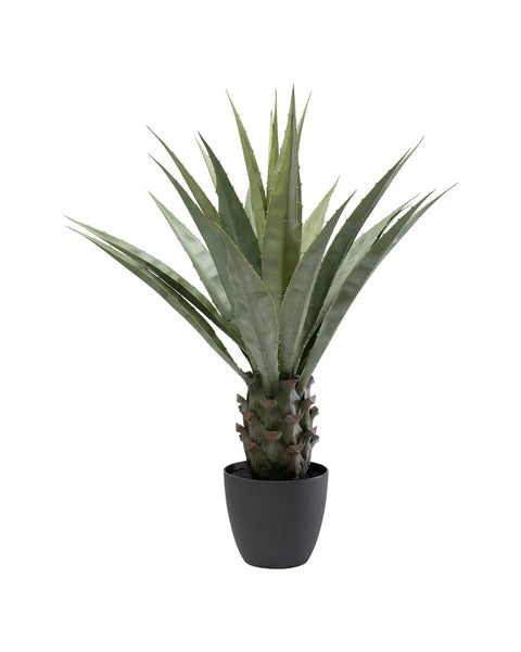 Kare - Deco Plant Agave 85cm