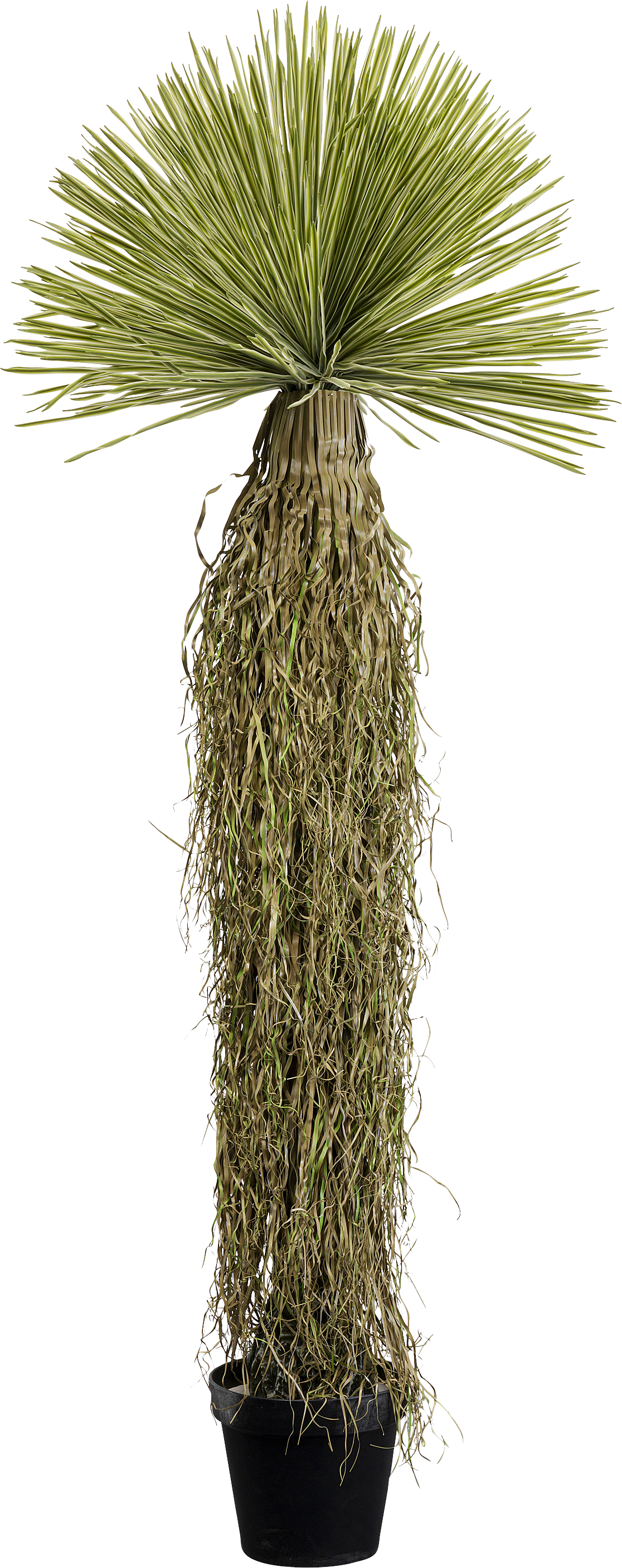 Kare - Deco Plant Yucca 170cm