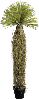 Kare - Deco Plant Yucca 170cm