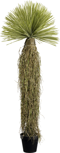 Kare - Deco Plant Yucca 170cm