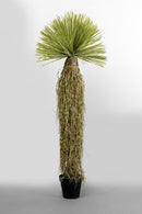 Kare - Deco Plant Yucca 170cm