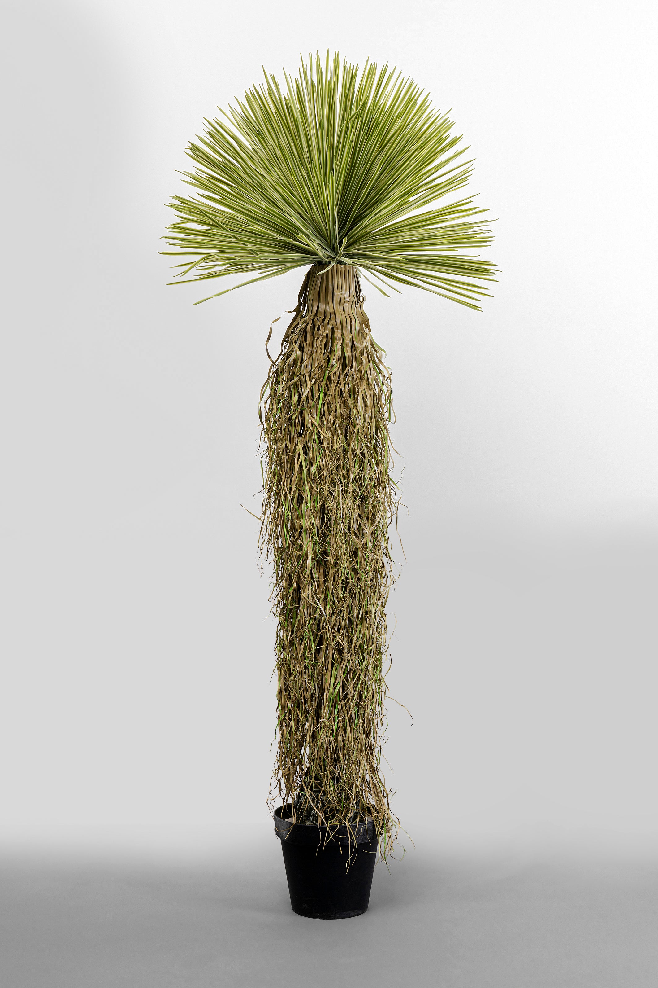 Kare - Deco Plant Yucca 170cm