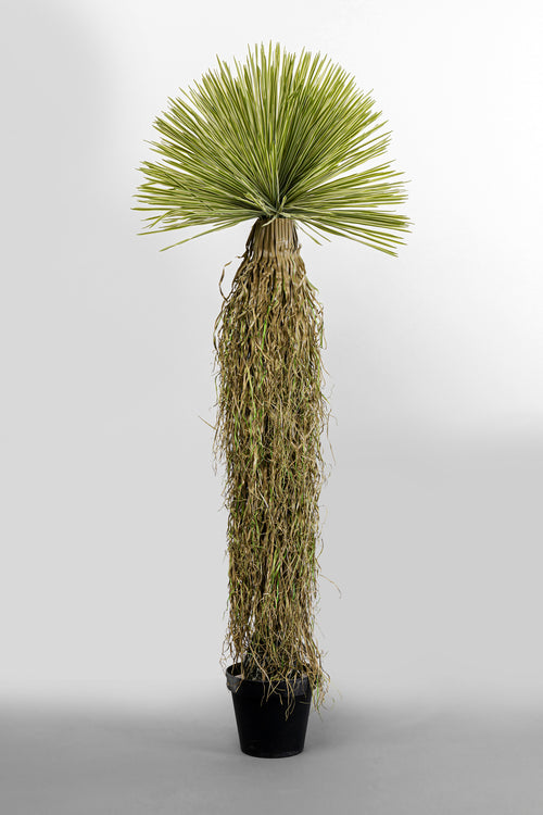 Kare - Deco Plant Yucca 170cm
