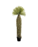 Kare - Deco Plant Yucca 170cm