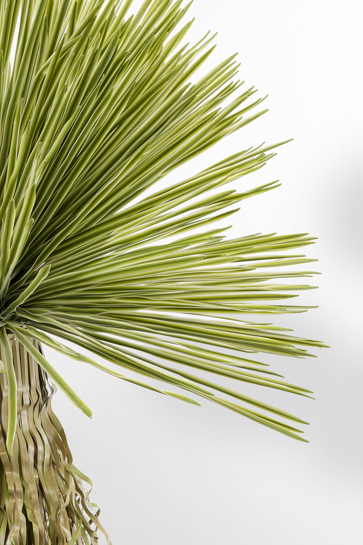 Kare - Deco Plant Yucca 170cm