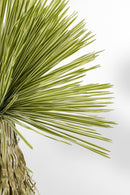 Kare - Deco Plant Yucca 170cm