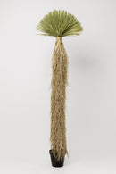 Kare - Deco Plant Yucca Rostrata 240cm