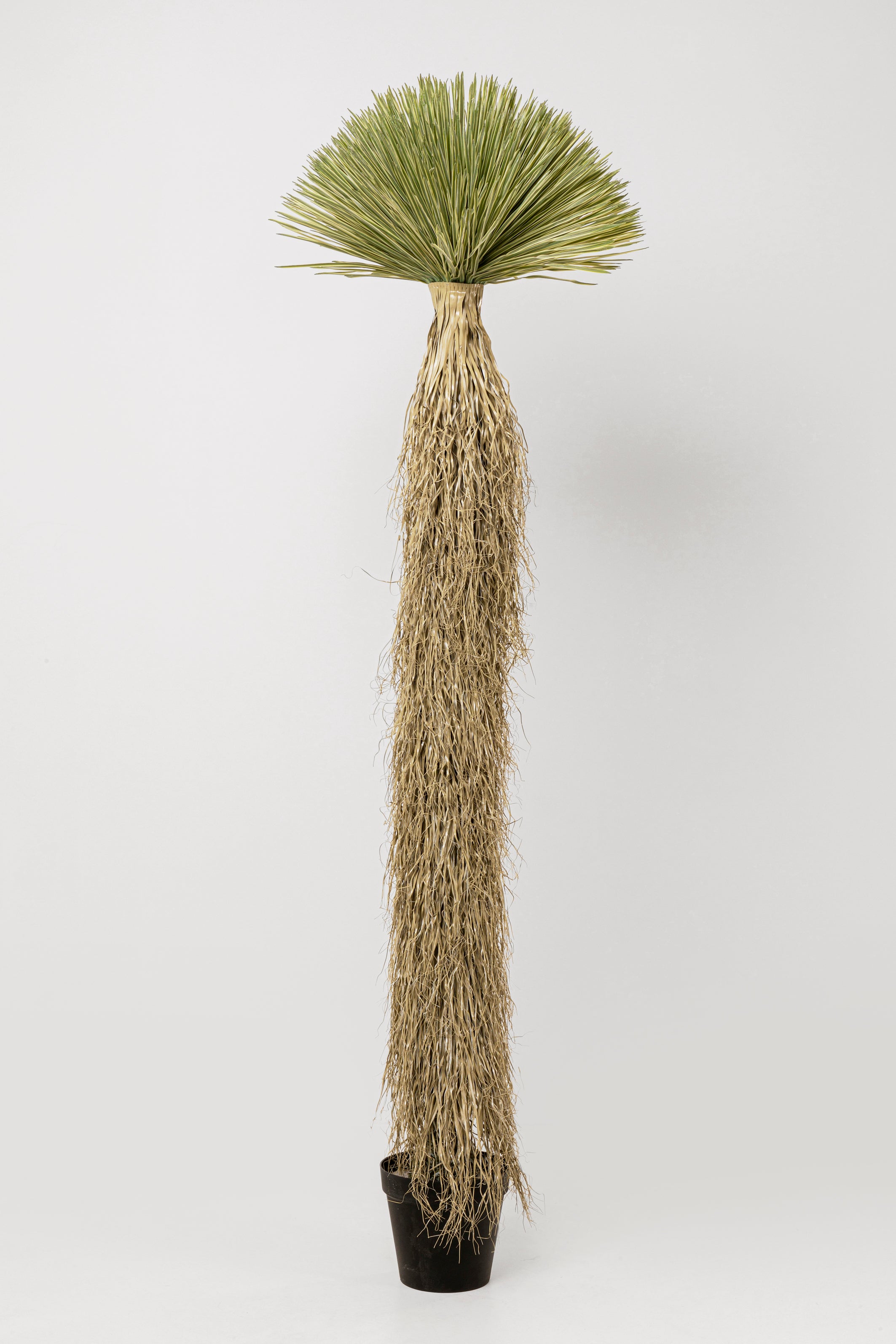 Kare - Deco Plant Yucca Rostrata 240cm