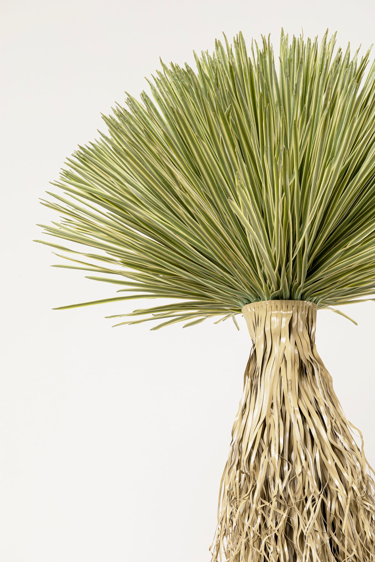 Kare - Deco Plant Yucca Rostrata 240cm