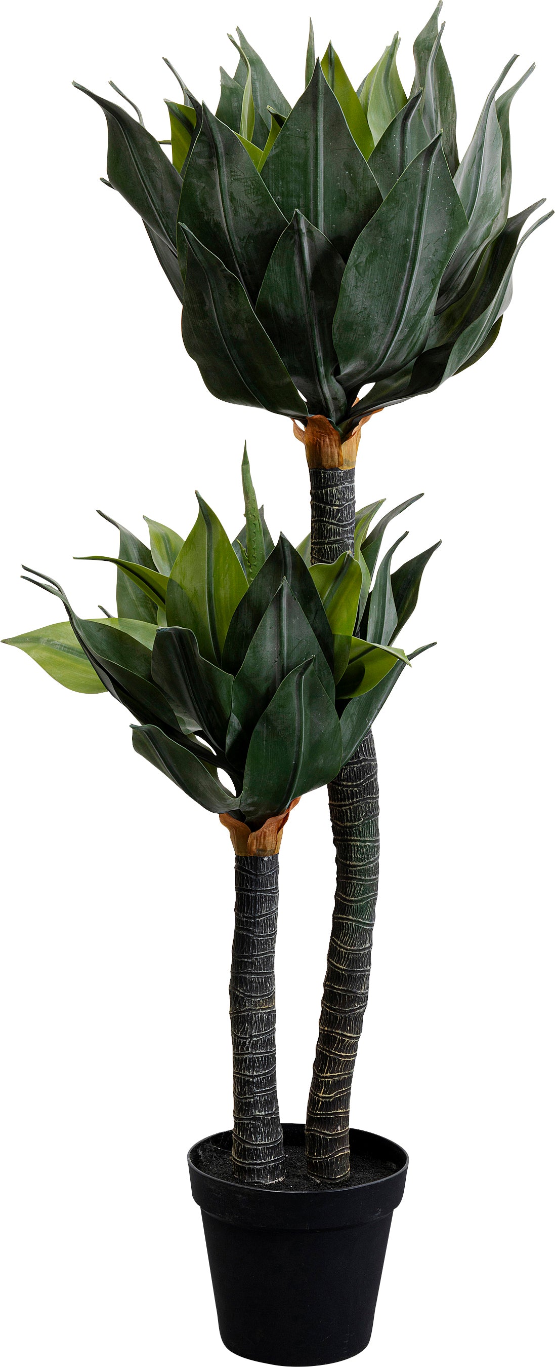 Planters