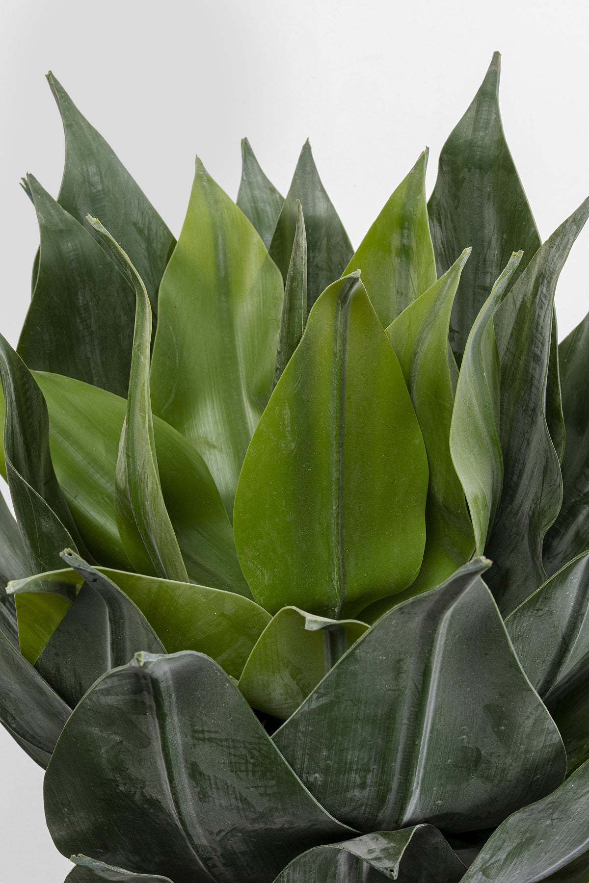 Kare - Deco Plant Agave 120cm